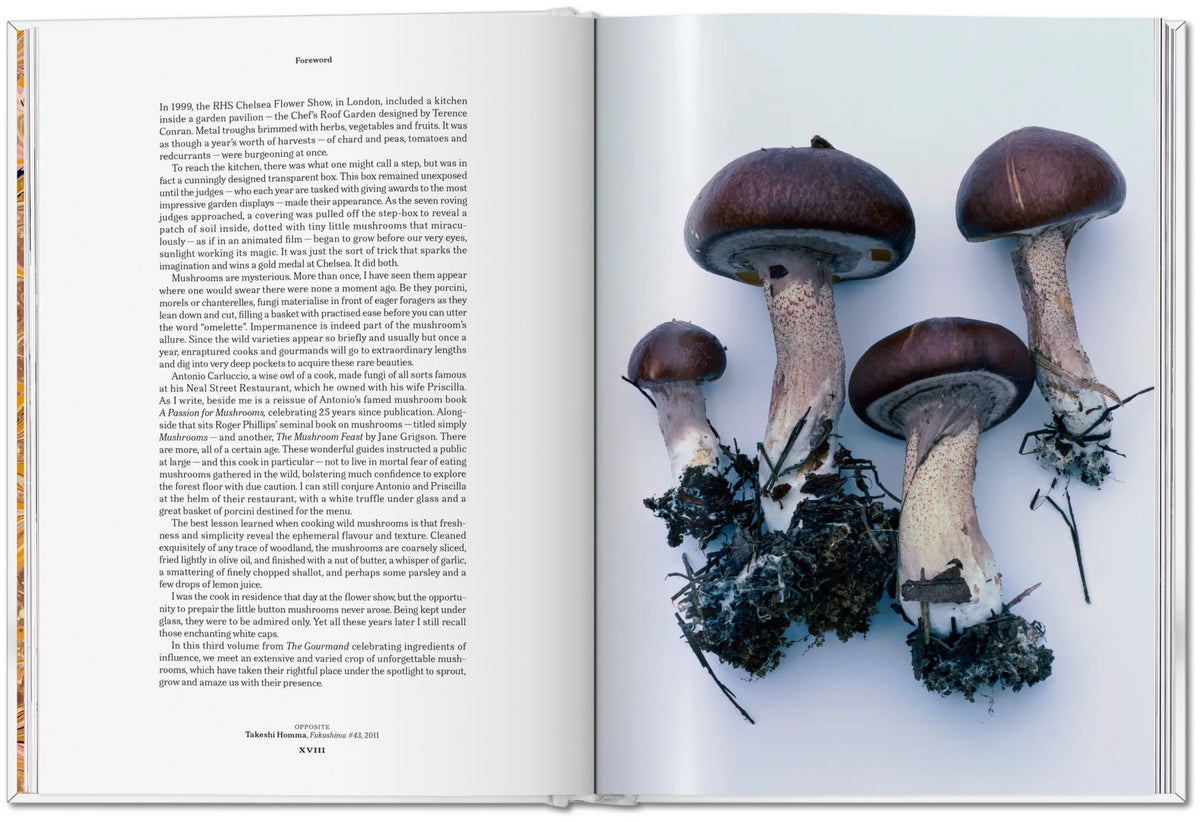 The Gourmand's Mushroom. A Collection of Stories and Recipes – TASCHEN (8)