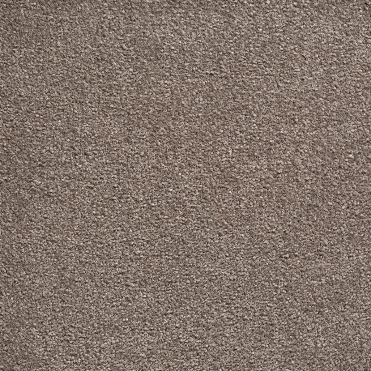 Alfombra rectangular de poliamida King - 42 Liura