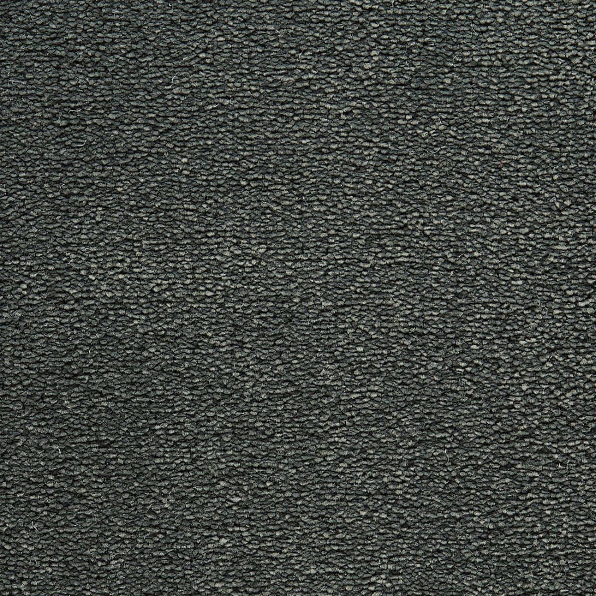 Alfombra rectangular de poliamida Korinna - 189 Brocado