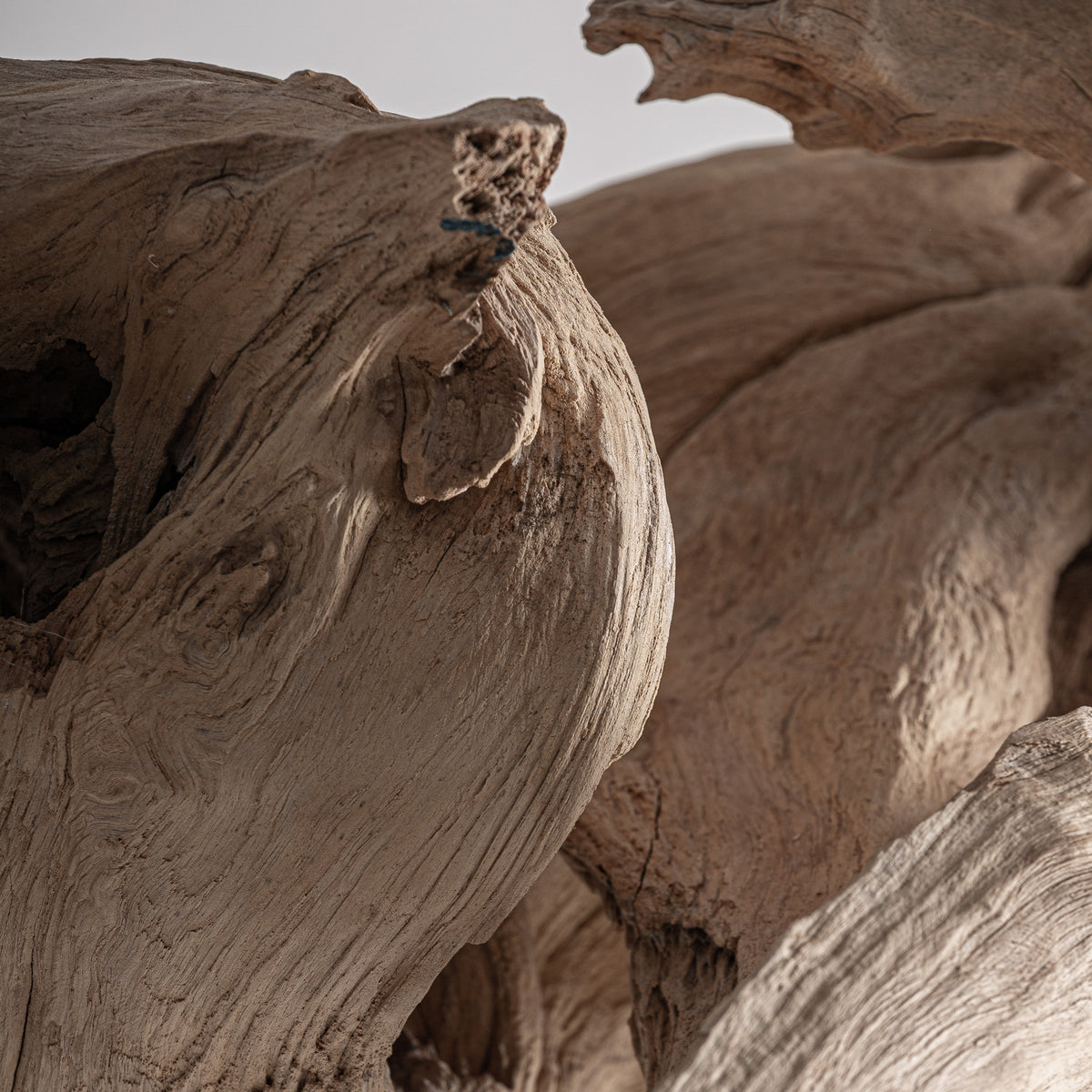 Escultura de pie de madera de suar Caprera