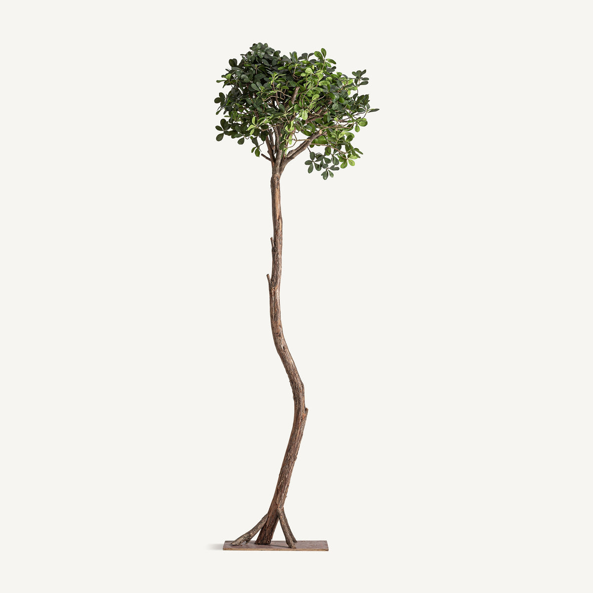 Ficus artificial Lapta