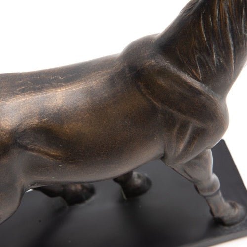 Figura de Decoración Equinox - pino_y_jacaranda