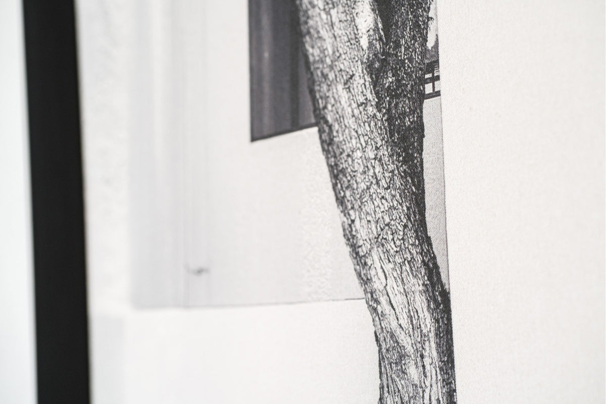 Cuadro Antibes - #pino_y_jacaranda#