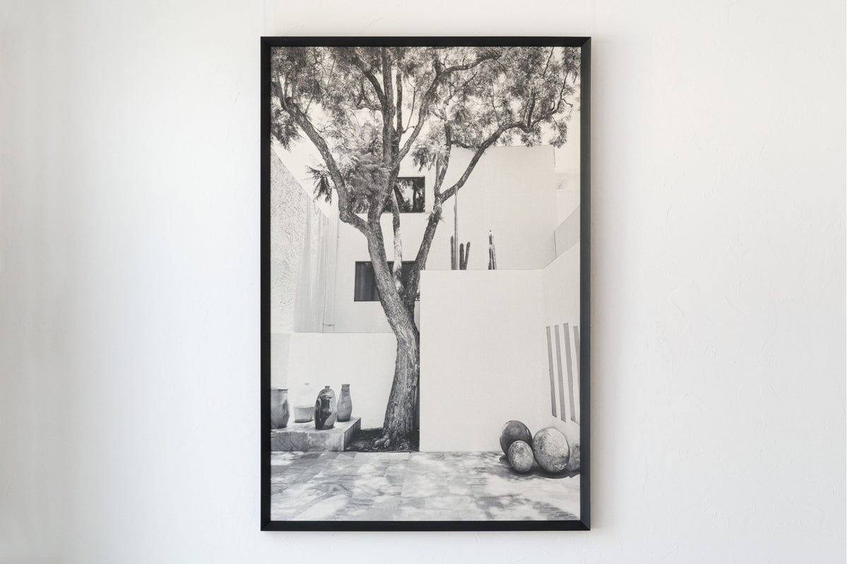 Cuadro Antibes - #pino_y_jacaranda#
