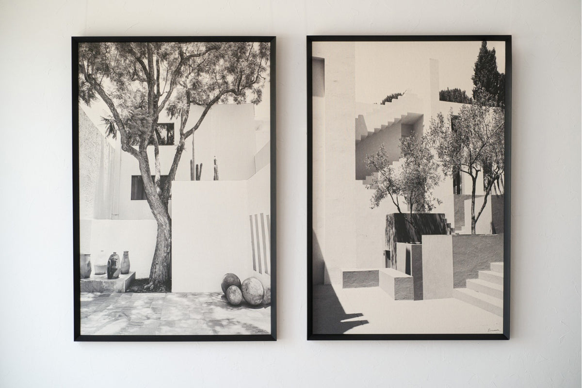 Cuadro Antibes - #pino_y_jacaranda#