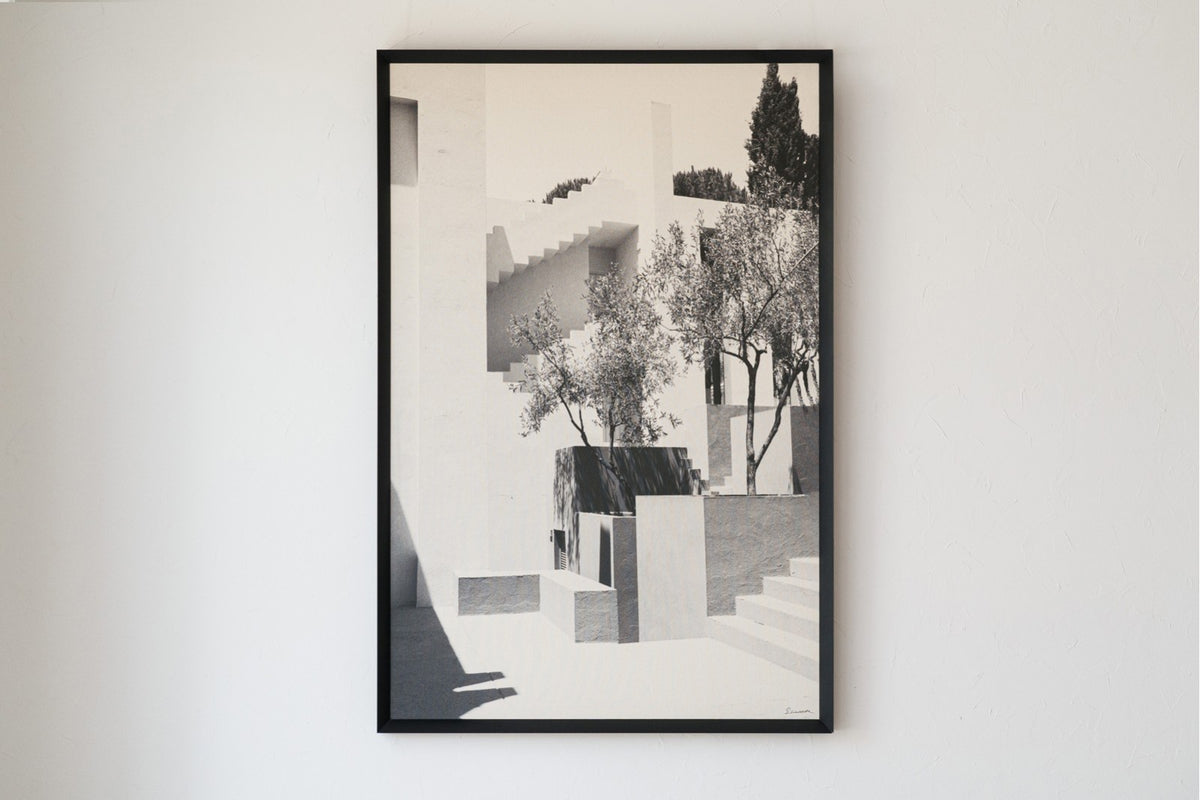 Cuadro Antibes - #pino_y_jacaranda#