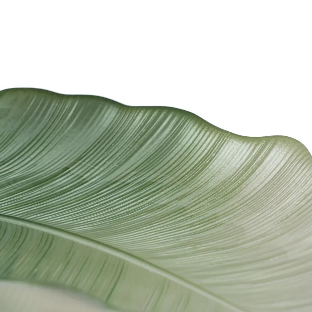 Bandeja Hoja Selva - #pino_y_jacaranda#