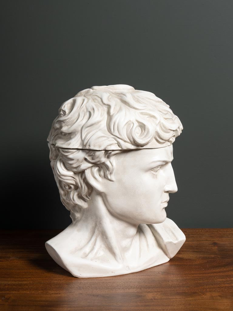 Caja Busto David - #pino_y_jacaranda#