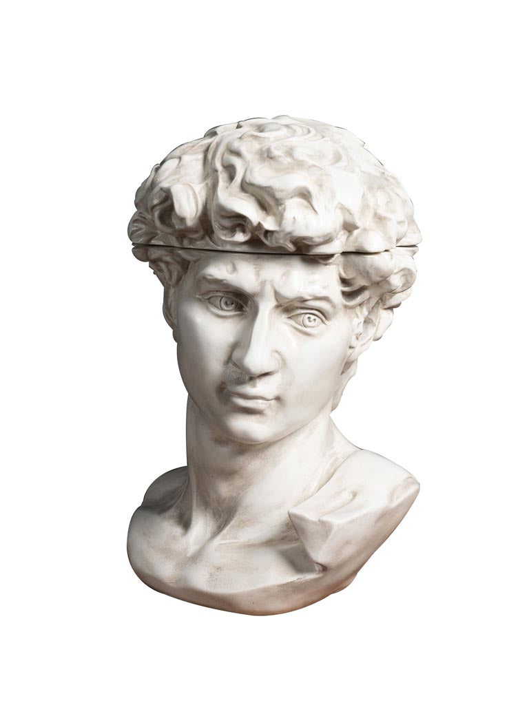 Caja Busto David - #pino_y_jacaranda#