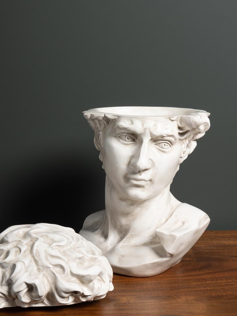 Caja Busto David - #pino_y_jacaranda#