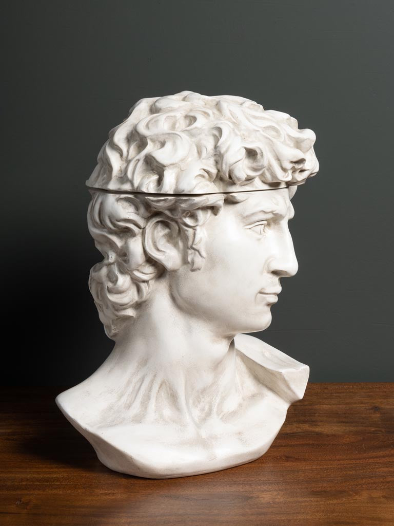 Caja Busto David - #pino_y_jacaranda#