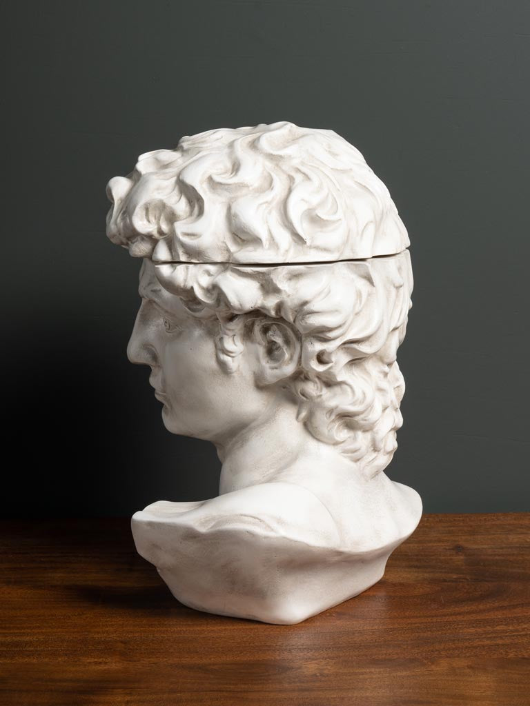 Caja Busto David - #pino_y_jacaranda#