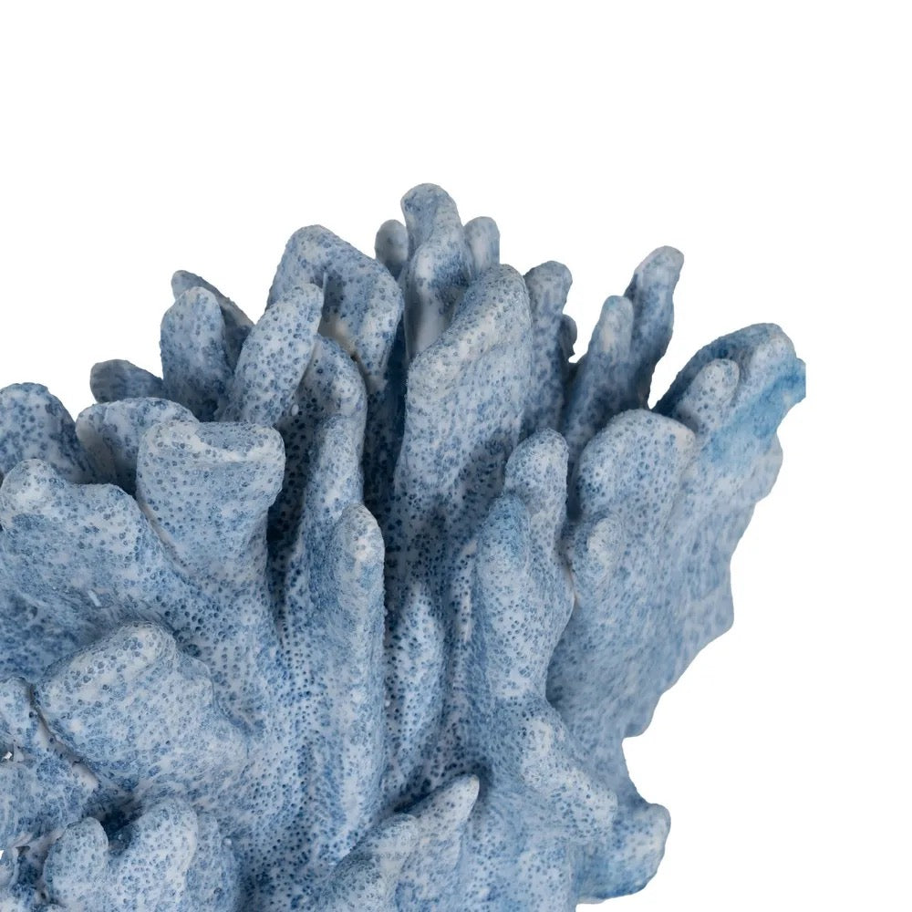 Figura Decorativa Costa Coral Arrecife - #pino_y_jacaranda#