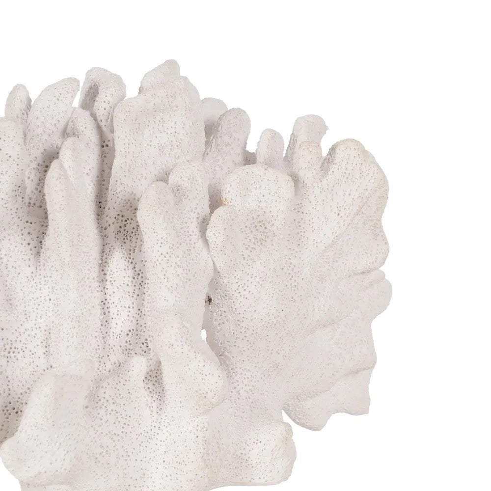 Figura Decorativa Costa Coral Arrecife - #pino_y_jacaranda#