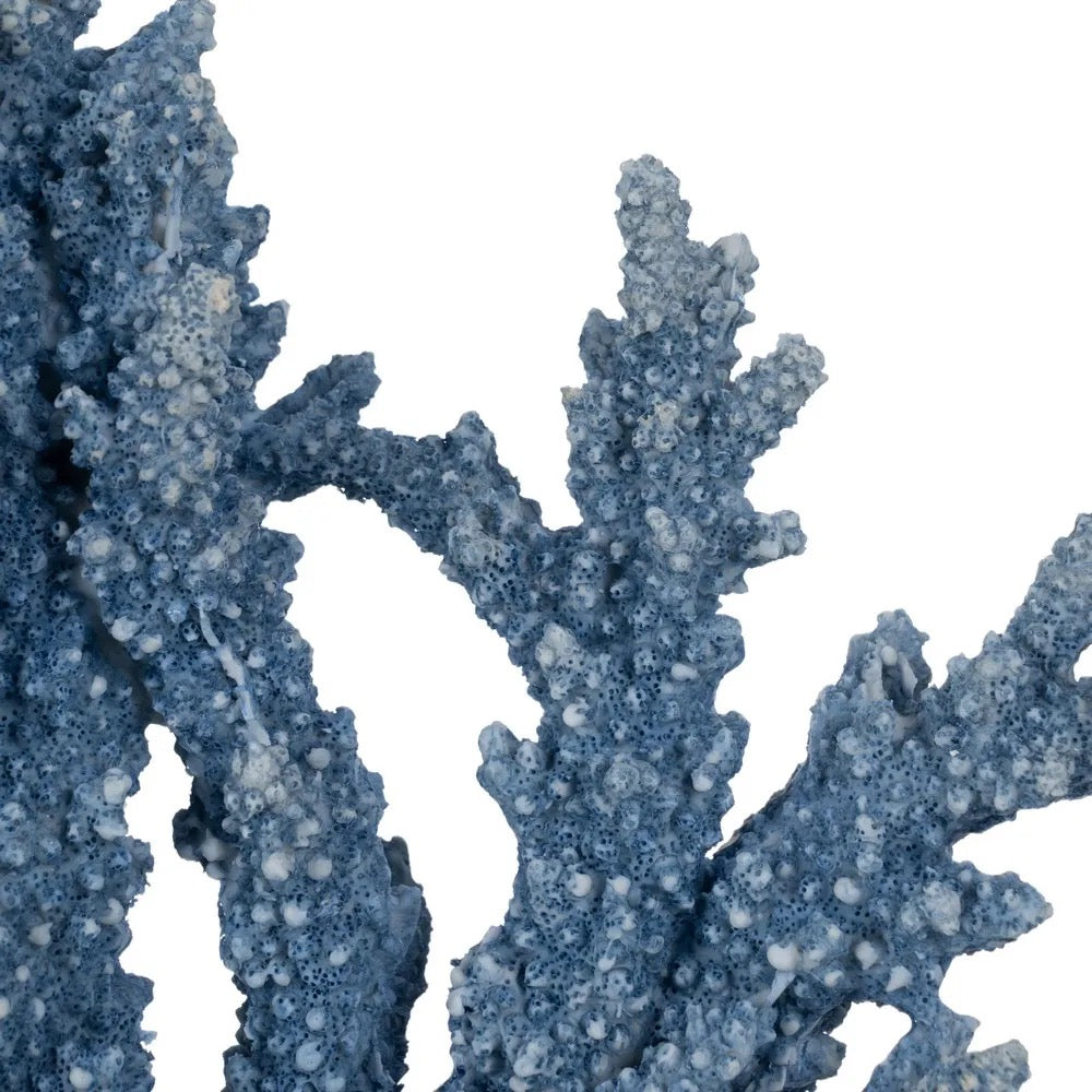 Figura Decorativa Coral Ocean Texture - #pino_y_jacaranda#