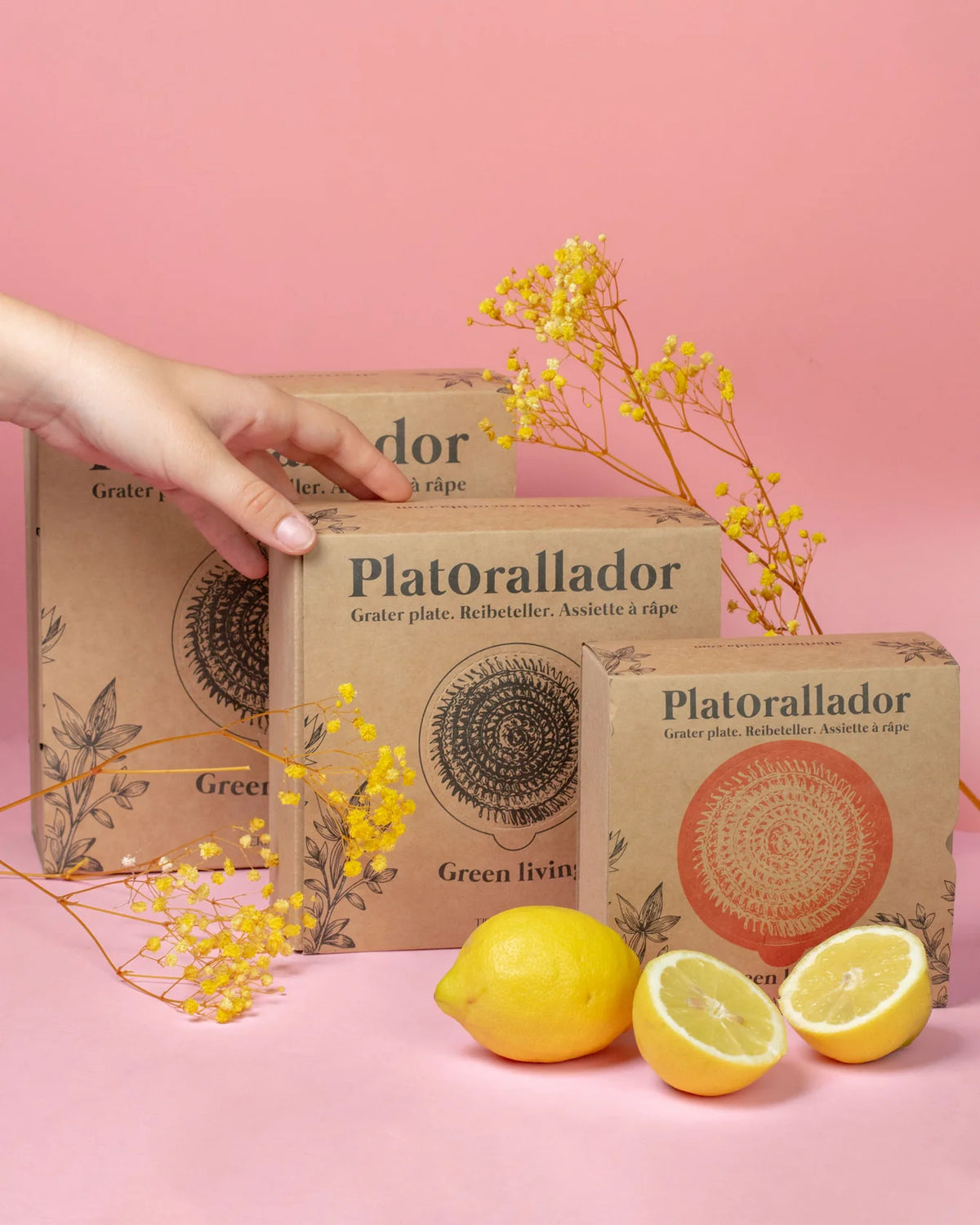 Plato Rallador de Cerámica Coral - #pino_y_jacaranda#