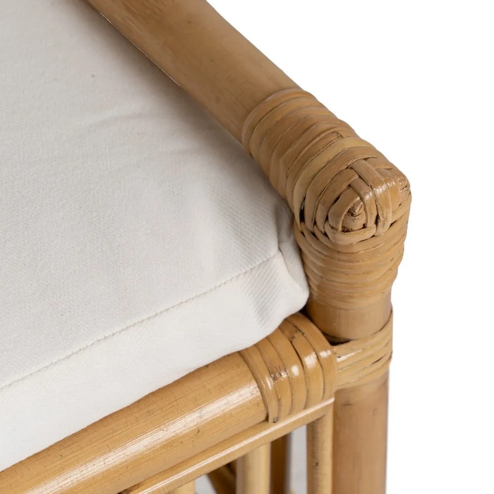 Set de 6 Sillas Natura Fiber - #pino_y_jacaranda#
