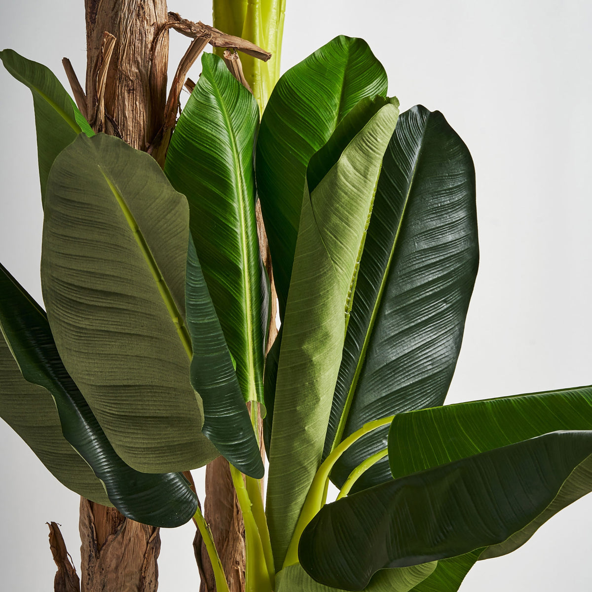 Planta artificial de hoja ancha Benimantell