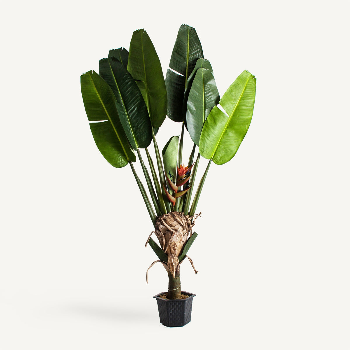 Planta artificial de hoja grande Spili 190 cm