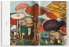The Gourmand's Mushroom. A Collection of Stories and Recipes – TASCHEN (13)