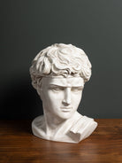 Caja Busto David - #pino_y_jacaranda#