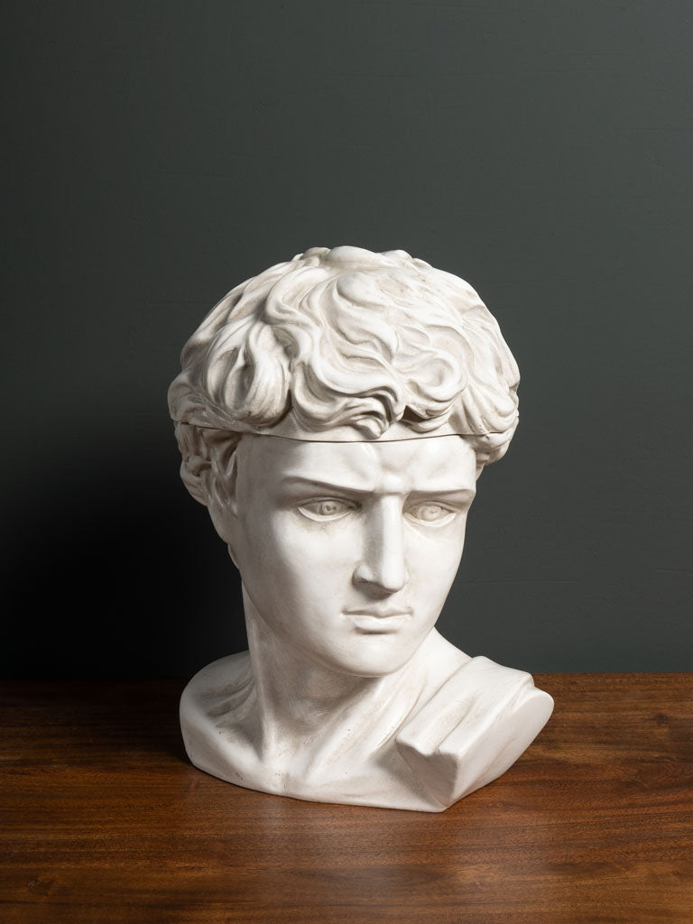 Caja Busto David - #pino_y_jacaranda#