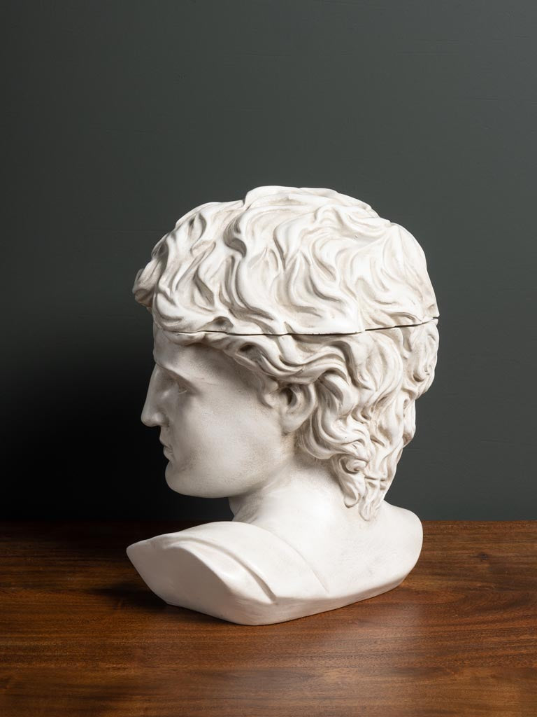 Caja Busto David - #pino_y_jacaranda#