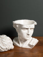Caja Busto David - #pino_y_jacaranda#