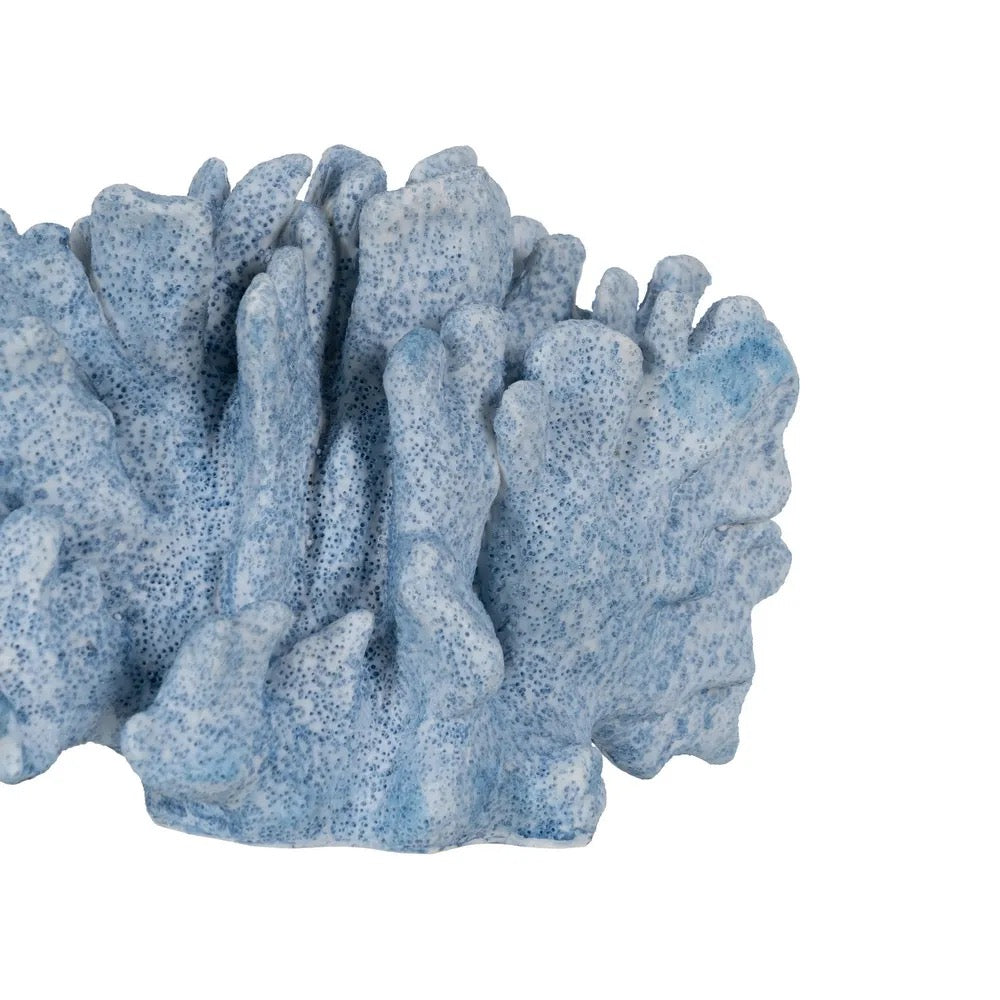 Figura Decorativa Costa Coral Arrecife - #pino_y_jacaranda#