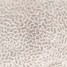 Figura Decorativa Resinada Esponja Coral Azul - #pino_y_jacaranda#