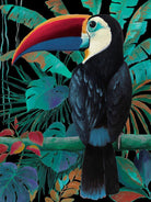 Cuadro Tucán Negro - #pino_y_jacaranda#