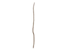 Rama Fina Teca - #pino_y_jacaranda#