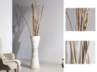 Rama Fina Teca - #pino_y_jacaranda#