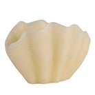 Vela Concha Blanca - #pino_y_jacaranda#